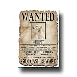 Whippet Wanted Fridge Magnet