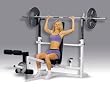 Giant Olympic Weight Bench W/ Leg Developer