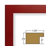 IMAGE OF 8.5x11 Red photo frame / picture frame
