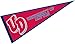 College Flags & Banners Co. University of Dayton Pennant Full Size Felt