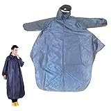 ディズニー・ファンタジー号