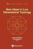 New ideas in low dimensional topology