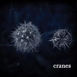 Cranes