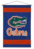 Florida Gators Wall Hanging by Sports Coverage