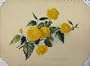 1897 Hardy Deciduous Flowering Shrub Yellow Old Print