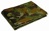 Dry Top 416206 16-by-20-Foot Full Finish Size Tarp, 5-Millileter, 2.9-Ounce, Green Camouflage