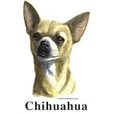 Chihuahua (Blonde) Spoon Rest
