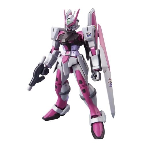 Gundam Seed Frame HG 56 Civilian Astray DSSD Leons Graves Custom 1/144