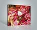 Posters: Fruits Stretched Canvas Print - Dragon Fruit (20 x 16 inches)