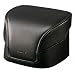 Sony Cyber Shot LCS-HG Case for Sony DSC-HX100 - Black