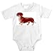   - Onesie with shorthaired, dachshund, dog