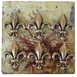 Set of 6 Fleur de Lis Magnets with Metal Wall Plaque