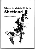 Where to watch birds in Shetland