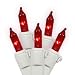 Set of 50 Red Mini Christmas Lights - White Wire