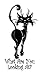Sassy Kitty 