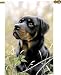 Rottweiler Dogs Large House Flag or Banner