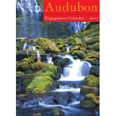 Audubon Engagement Calendar 2010 (Calendar)