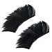 2 Pair Black Feather Fake Eyelashes Eye Lashes Party