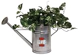 University of Illinois Fighting Illini Watering Can