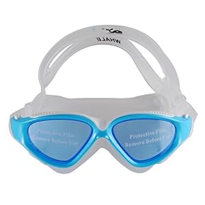 Cf-7500 Fashion and Anti-fog Wide-vision Swimming Mask Swim Goggles for Adult Man / Woman (7504)