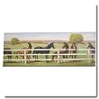 Fenced Horses Wall Border