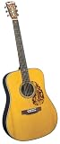Blueridge BR-160A Historic Adirondack Dreadnaught Guitar