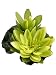 Faux 4 Floating Lotus w/Waterdrop 1 Flw. & 1 Bud Green (Pack of 12)