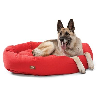 Organic Bumper Bed Dog Bed Size: Large, Color: Basil