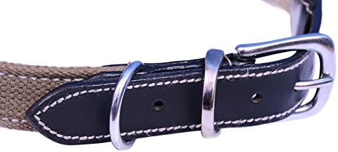 PetsUp Leather Dog Collar for Giant Dogs Giant Breed - Clothe Dog Collar - Collar for Large Dog