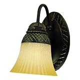 Westinghouse 69108 Apple Valley One-Light Wall Fixture, Gilded Bronze Finish with Antique Amber Scavo Globe