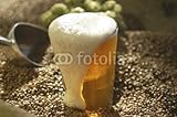 Wallmonkeys Peel and Stick Wall Decals - Beer - 24