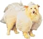 Pet Disney Cinderella Dog Costume For Medium Dogs