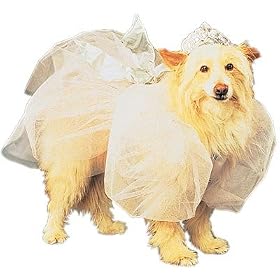 Pet Disney Cinderella Dog Costume For Medium Dogs