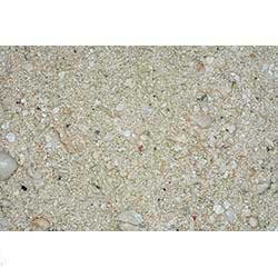 (Price 1)Ocean Direct Natural Live Sand 5lb by Top Dawg Pet Supplies