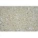 Ocean Direct - Natural Live Sand