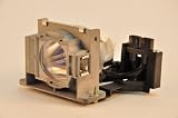 SELECT Mitsubishi HD4000 Rear Projection Television Replacement Lamp RPTV