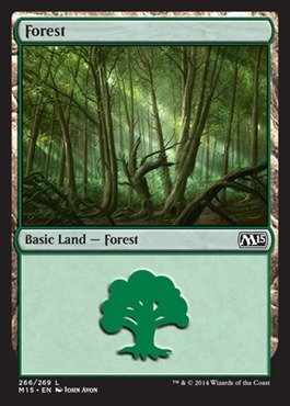 Magic: the Gathering - Forest (266/269) - Magic 2015 - Foil