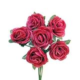 ���i�̏ڍ�