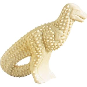 Nylabone Durable Dental Dinosaur Chew Toy (Dinosaur Varies)
