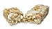 Vega Snack Bar, Coconut Cashew, 12 Count