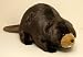 Natural Beaver 36 - by Stuffed Animal House