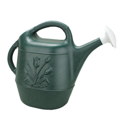 Watering Cans Hunter Green 2 Gallon Plastic Watering Can Classic