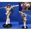 Ikki Tousen Kanu Unchou Gray Variant Statue