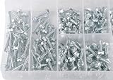 Self-Tapping Hex-Head Metal Screw Shop Assortment - 200 Pieces