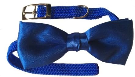 Cat Collar with Bow Tie, Royal Blue (10" x 3/8")