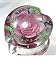 Murano Design Glass Art Pink Rose Series Paperweight PW-364