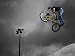 41Uutt6R8aL. SL75  Freestyle Bmx