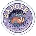 Badger Balm Night Night Balm - 2 oz