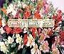 PERUVIAN LILY Alstroemeria Ligtu --- 20 Flower Seeds