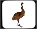 Mauspad mit Dekoration - Wirtschafts-und W�hrungsunion, Gefangenschaft, flugunf�hig, Australier, Zoo, Tier, Vogel
